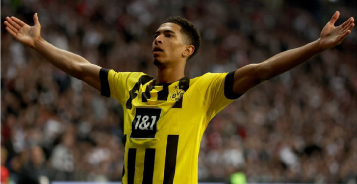 彩的武术表 彩的武术表